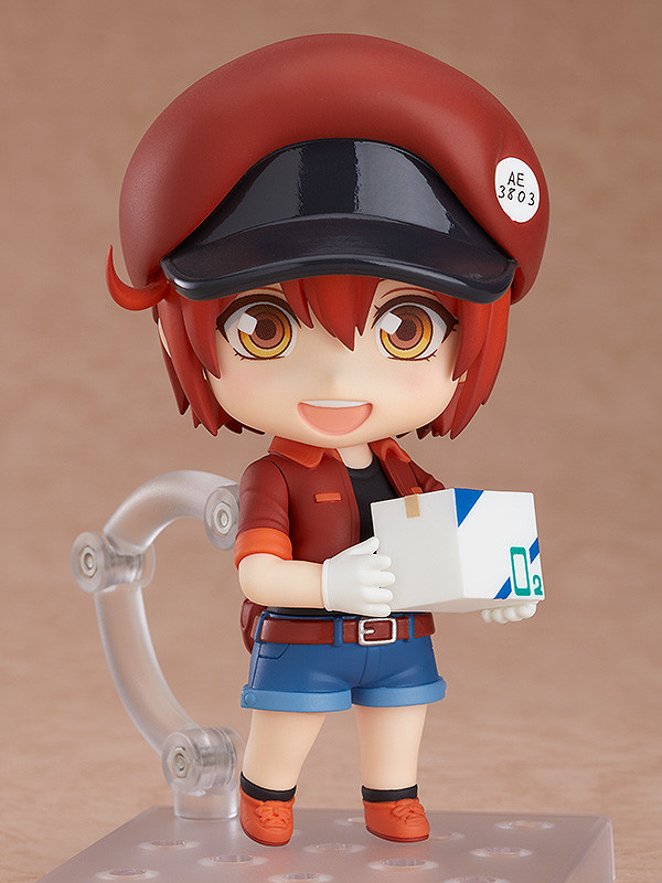 Red Blood Cell